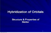 Hybridization of Orbitals - Science at Yorkdale with ...lorenowicz.weebly.com/uploads/4/6/1/6/4616010/sch4u-hybridization.pdf · Lone pairs will occupy hybrid orbital Ammonia: –