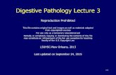 Digestive Pathology Lecture 3 - School of Medicine...Adenoma/carcinoma surveillance Recommendations for people at average risk: – Colonoscopy at age 50 – If no adenoma/carcinoma