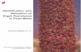Identification and Utilization of Ergot Resistance in Pearl Milletoar.icrisat.org/1016/1/RA_000252.pdf · 2011-09-06 · Identification and Utilization of Ergot Resistance in Pearl