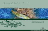 Coastal Carbon Sinks in South Australia - EnviroData · Coastal Carbon Sinks in South Australia Technical Report 2011/02 . Coastal Carbon Sinks in South Australia ... A further objective
