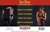 Iso-Bow · Optimum Bullworker Isometric Holds only require 60% ... ground and lower your arms/hands behind your head as far as you can go Overhead Left Side Reach (Lats, ... Isometric