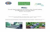 Good Agricultural Practices for Food Safety in Blueberry ... · current knowledge of food safety practices of FDA, USDA, and others. By identifying basic principles of food safety