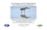 Ecological Evaluation Technical Guidance · ECSM Ecological Conceptual Site Model . EE Ecological Evaluation . EqP Equilibrium Partitioning . ERA Ecological Risk Assessments . ERAGS