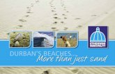 Durban’s beaches More than just sand...eTheKWInI MunIcIPaLITY sanDY beaches 7 3. More than sand: biodiversity of Durban’s beaches At first glance, it is easy to understand why