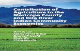Contribution of Agriculture to the Maricopa County and ......Table 7. Economic Contribution of Agriculture to Maricopa County Economy, 2015 25 Table 8. Maricopa County and Gila River