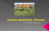 BOTH OF THEM ARE!Increases energy used so speeds up weight loss so if horse is capable include it in program BUT be careful not to overdo it i.e. NO hooning on the lunge! Increase