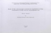 Role of the adrenergic system in regulation of the resistance of …doktori.bibl.u-szeged.hu/5342/1/2007_kolarovszky.pdf · adrenergic drugs. It was found that adrenergic drugs had