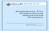 Guidelines For Professional Ultrasound Practice...SCoR/BMUS Guidelines for Professional Ultrasound Practice. Revision 2. December 2017. 4 Thanks is also given to J M Bridson and G