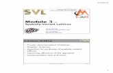 SVL Short Course Module 3 -- SV latticesemlab.utep.edu/scSVL/SVL Short Course Module 3 -- SV... · 2015-06-10 · b) Solve for the Grating Phase 24 Construct Matrix Equation,, x xpq