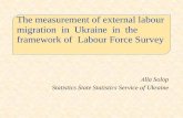 The measurement of external labour migration in Ukraine in the framework of Labour ... · 2016-05-23 · population (households) on economic activity (Labour Force Survey) and household