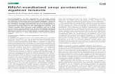 Review RNAi-mediated crop protection against insectselearning.kocw.net/contents4/document/wcu/2013/KyungSang/... · 2013-07-19 · RNAi-mediated crop protection against insects Daniel