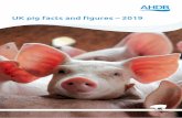 UK pig facts and figures – 2019 · Figure 1.1 UK product flows in the pig meat marketing chain in 2018 a = includes pork imports subsequently cured in the UK. Pork imports estimated