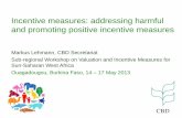 Incentive measures: addressing harmful and promoting positive … · 2013-05-15 · “By 2020, at the latest, incentives, including subsidies, harmful to biodiversity are eliminated,