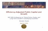 Efficiency-Adjusted Public Capital and Growth · • reexamine public capital–growth relationship in LICs and ... MIC is the subsample of 24 middle-income countries, and LIC is