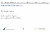 IAEA BELNUC BORDET International Course on Theranostics ... · IAEA – BELNUC – BORDET International Course on Theranostics and Molecular Radiotherapy mIBG therapy in neuroblastoma: