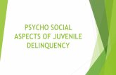PSYCHO SOCIAL ASPECTS OF JUVENILE …nja.nic.in/Concluded_Programmes/2018-19/P-1112_PPTs/6...JUVENILE DELINQUENTS Juvenile delinquents are minors, usually defined as being between