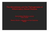 The Microbiome and the Pathogenesis of Inflammatory Bowel ... · The Microbiome and the Pathogenesis of Inflammatory Bowel Disease Demystifying Medicine Lecture Feb 9, 2016 Warren