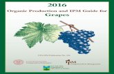 2016 Organic Production and IPM Guide for Grapes · This guide uses the term Integrated Pest Management (IPM), which like organic production, emphasizes cultural, biological, and