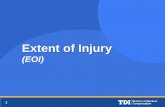 Extent of Injury (EOI)Taking the Medical History • Document a thorough medical history • Cover all items on DD’s checklist • Clinical course, including past medical history,
