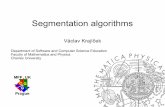 Segmentation algorithmsvajicek/presentations/segment0409.pdfPham et al., A survey of current methods in medical image segmentation, 1998 Sarang Lakare, 3D Segmentation Techniques for
