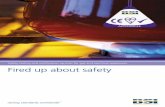 Safety testing and certification services for gas and ... · Safety testing and certification services for gas and electrical appliances APPLIANCES. 2 BSI ... covering camping appliances,