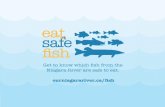 Get to know which fish from the Niagara River are safe to eat.ourniagarariver.ca/wp-content/uploads/2019/03/... · The Niagara River is divided into the Upper Niagara River (upstream