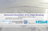 Numerical Simulation of Ice Ridge Breaking · 2017-02-23 · Numerical Simulation of Ice Ridge Breaking February 2nd 2016 Rostock Aleksei ALEKSEEV, EMSHIP student Robert BRONSART,