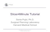 Slicer4Minute Tutorial · Sonia Pujol, Ph.D. Surgical Planning Laboratory Harvard Medical School Slicer4Minute - Sonia Pujol, Ph.D. NA-MIC ARR 2011-2012 1 . Slicer4 minute tutorial