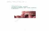 STRUCTURE AND FUNCTIONS OF THE ORAL CAVITY · how the following structures within it function: Teeth (including dentition) Periodontium (the supporting structure of the tooth) Tongue