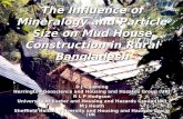 The Influence of Mineralogy and Particle Size on Mud House ...groups.exeter.ac.uk/housingandhazards/DHH.pdf · Diversity in House Construction Traditional house types, from fragile