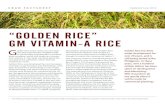 “GOLDEN RICE” GM VITAMIN-A RICE - Canadian ......“GOLDEN RICE” GM VITAMIN-A RICE i 70 Intellectual Property Rights and Technical Property Rights, belonging to 32 different