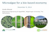 December 9, 2014 Guido Breuer breuer.pdf · Bioprocess Engineering & AlgaePARC, Wageningen University, The Netherlands Microalgae for a bio-based economy. ... •Flocculation Cell