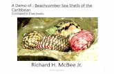 A Demo of : Beachcomber Sea Shells of the Caribbeanexcellent hardback books for more complete information on your shells: 1. P1* = Shells of the Atlantic and Gulf Coasts and the West