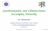 Synchronization and Chimera States in Complex Networks · Yuri Maistrenko Academy of Sciences of Ukraine, Kiev, Ukraine E-mail: y.maistrenko@biomed.kiev.ua Lecture 14 Synchronization