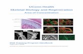 UConn Health Skeletal Biology and Regeneration · differentiation, craniofacial and tooth development, limb development and regeneration, osteoarthritis, stem cells for skeletal tissue