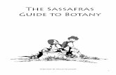 The Sassafras Guide to Botany · Gymnosperm vs. Angiosperm Worksheet 126 Pollination Comparison Worksheet 127 ... The Sassafras Guide to Botany Introduction ... A blank lab report