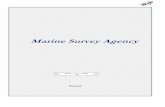 Marine Survey Agency...Marine Survey Agency 3 We invite all interested companies and persons to cooperation. About us Marine Survey Agency Ltd is an independent survey company, which