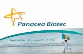 Confidential - ICSTIPE : PanEra Biotec Pvt Ltd NVI: Netherlands Vaccin Institut now called as Bilthoven Biologicals 9 Vaccine Pipeline . Confidential 10 Manufacturing Infrastructure