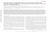 Rapid immunopurification of mitochondria for metabolite profiling …sabatinilab.wi.mit.edu/pubs/2017/WChen_nprot.2017.104.pdf · 2017-10-24 · membrane. Yet efforts to systematically