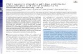 PAR1 agonists stimulate APC-like endothelial ... · modulators, termed “parmodulins,” which act at the cytoplasmic face of PAR1 (27–29). Characterization of these compounds