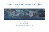 Motor Protection Principles 101308 - Semantic ScholarA motor can run overloaded without a fault in motor or supply A primary motor protective element of the motor protection relay