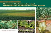 Nutrient Deficiencies and Application Injuries in Field Cropsextension.missouri.edu/scott/documents/Ag/Agronomy/... · calcium deficiency symptoms appear. Calcium deficiency is favored