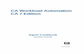 CA Workload Automation CA 7 Edition Workload Automation CA 7 Edition - Public 12 0...This Documentation, which includes embedded help systems and electronically distributed materials