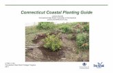 CT Coastal Planting Guidemedia.ctseagrant.uconn.edu/.../CTCoastal_planting.pdf · 2016-12-08 · Connecticut Coastal Planting Guide 4 Within Connecticut, any area below mean high