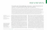 Cortical travelling waves: mechanisms and computational ...spatiotemporal travelling waves that either radiate out from a point source or rotate across the cortex in a pre-ferred direction,