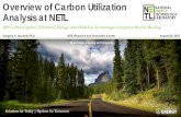 Overview of Carbon Utilization Analysis at NETL · Overview of Carbon Utilization Analysis at NETL 2019 Carbon Capture, Utilization, Storage, and Oil & Gas Technologies Integrated