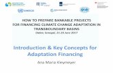 HOW TO PREPARE BANKABLE PROJECTS FOR ......HOW TO PREPARE BANKABLE PROJECTS FOR FINANCING CLIMATE CHANGE ADAPTATION IN TRANSBOUNDARY BASINS Dakar, Senegal, 21 -23 June 2017 Introduction