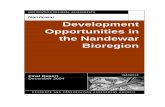 Nandewar Development Opportunities in the Nandewar Bioregion · DEVELOPMENT OPPORTUNITIES IN THE NANDEWAR BIOREGION Contents Project Summary V Forest Based Industries V Aboriginal