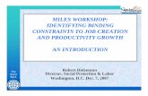 MILES Workshop: Identifying Binding Constraints to Job ...siteresources.worldbank.org/INTLM/Resources/390041... · MILES framework use of existing tools – Doing Business and Investment