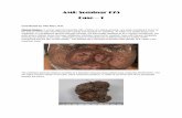 AMR Seminar #75 Case 1 75 Case Histories.pdf · AMR Seminar #75 Case – 1 Contributed by: Phil Allen, M.D. Clinical History: A woman aged 42 presented with a history of a slowly